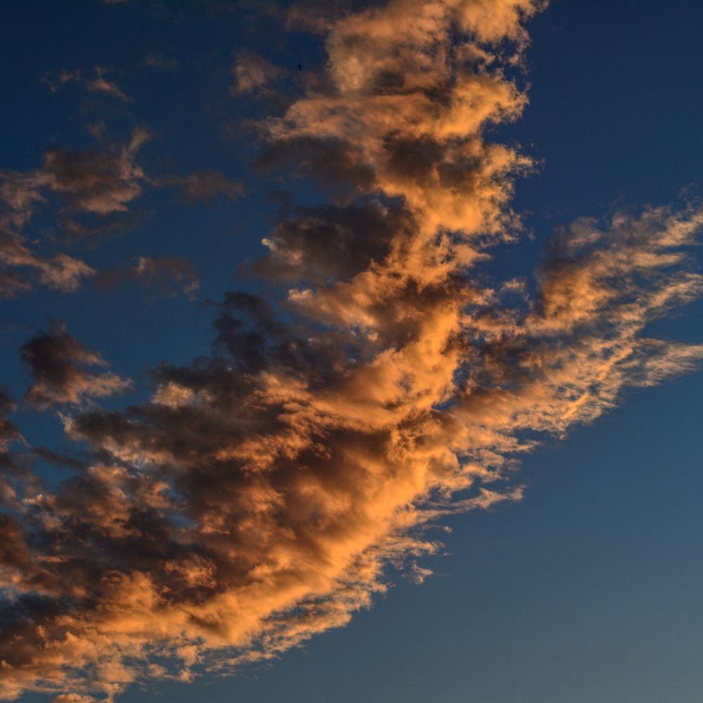 Photograph by Kristina Ter-Hovhannisyan