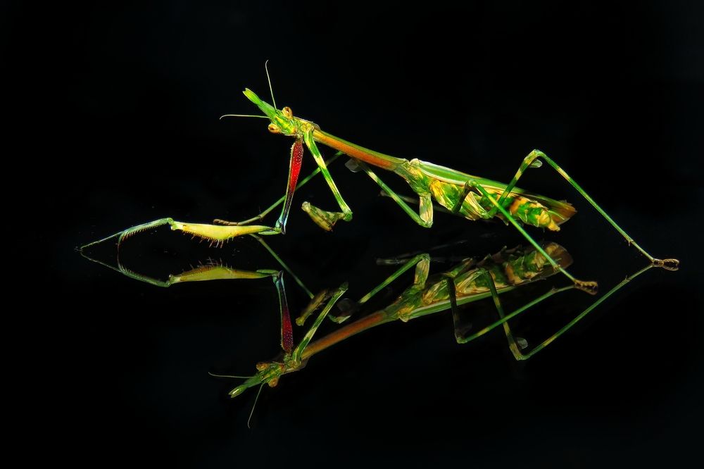 Photograph by Amin Ghaffarian