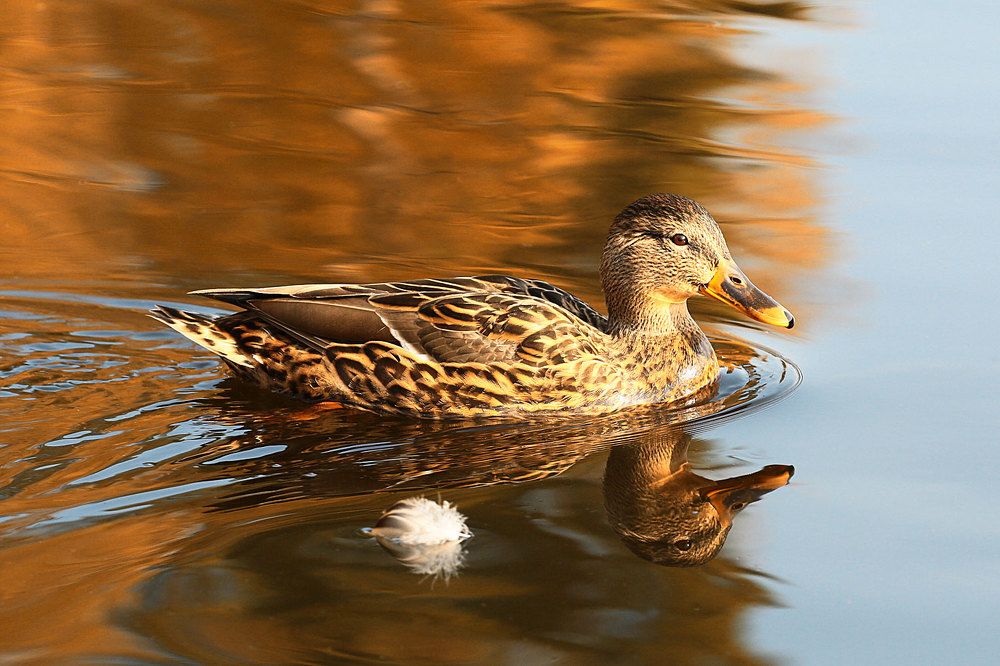 Photograph by Иван Мороз