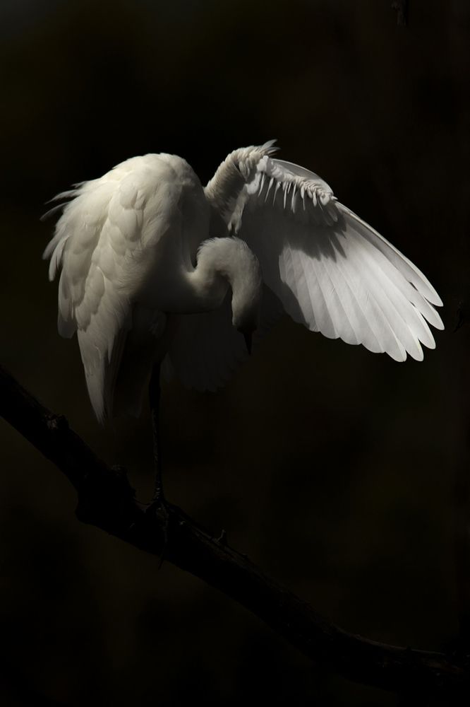 Photograph by Gonzalez Paul Andres