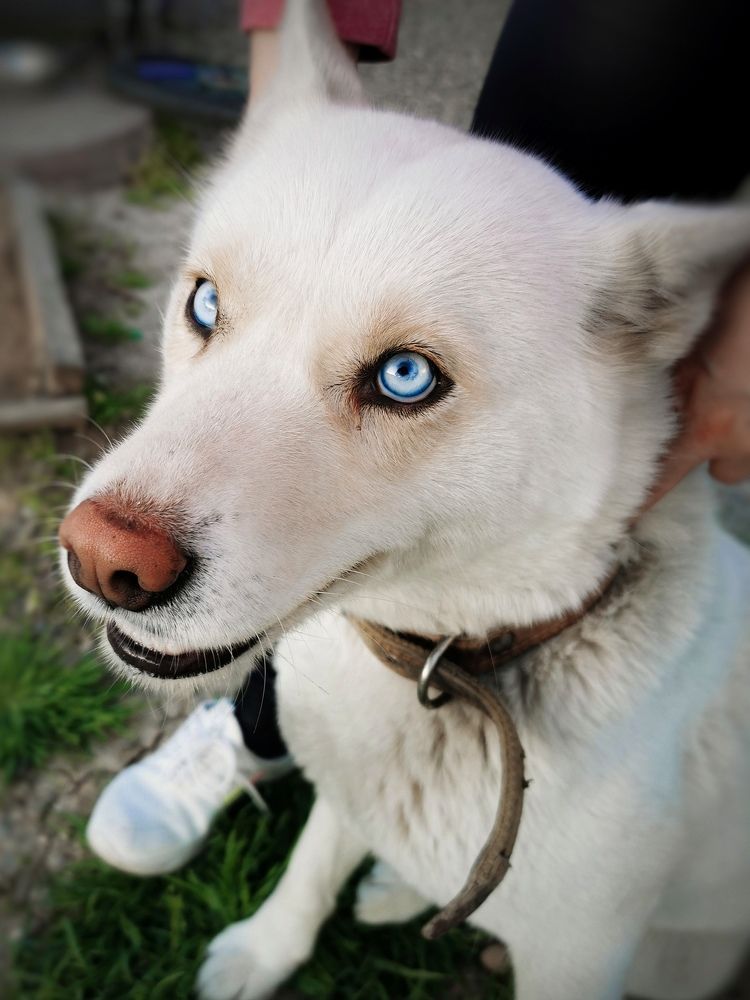 Photograph by Оксана Маракушина