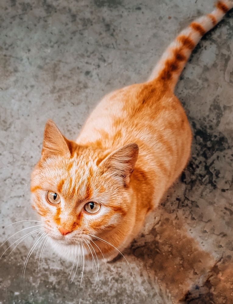 Photograph by Оксана Маракушина