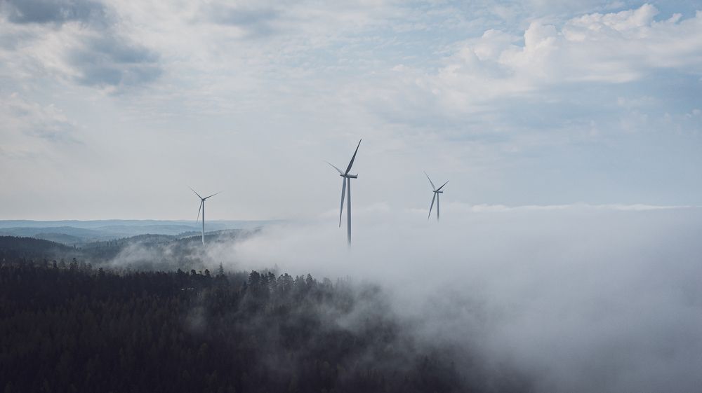 Photograph by Christopher Cerna