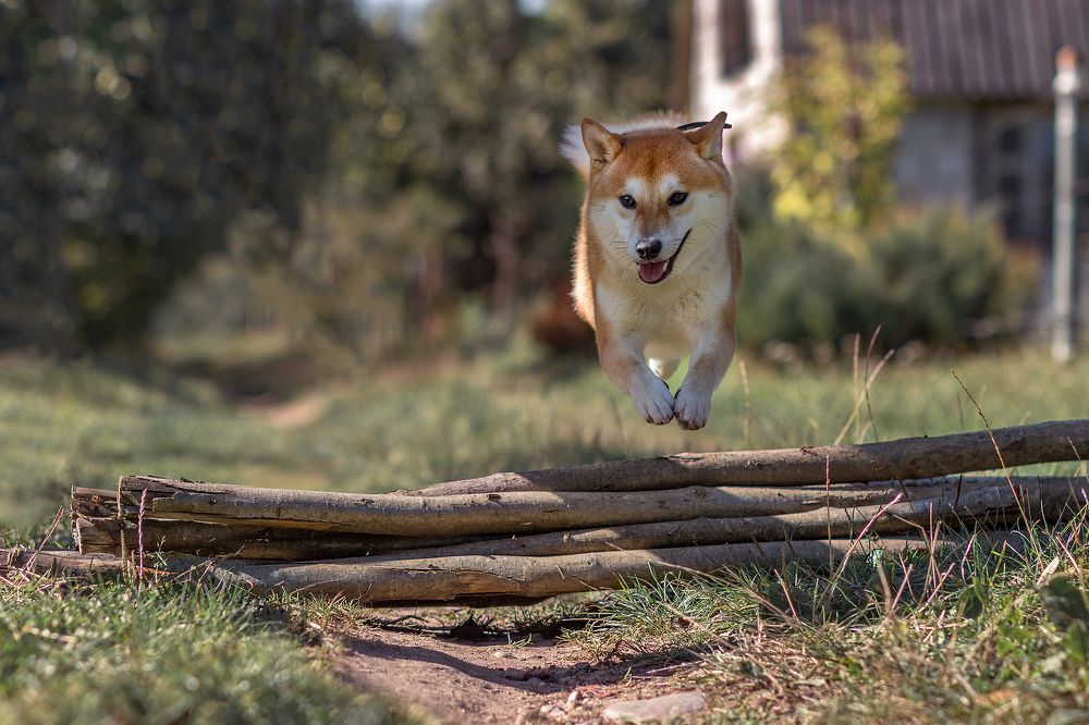 Photograph by Larisa Shuglya