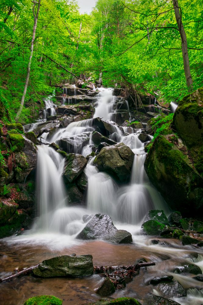 Photograph by Svetoslav Georgiev