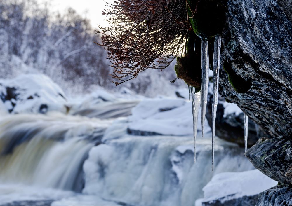 Почти весна...