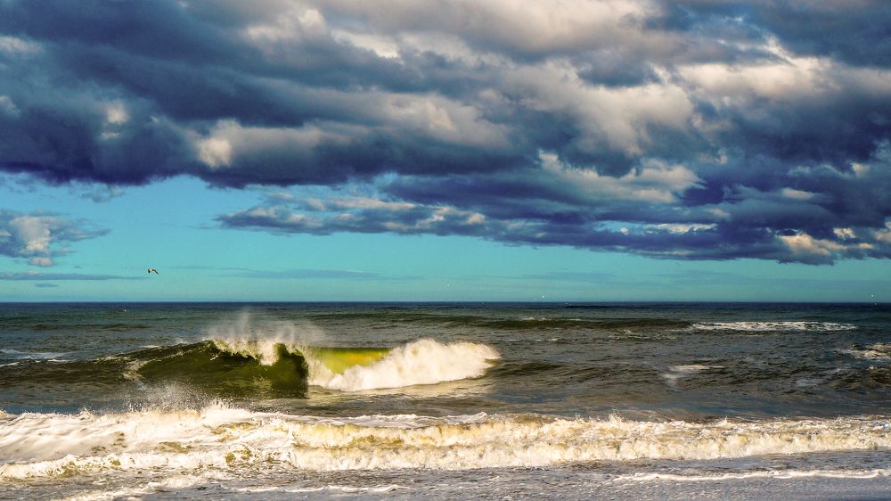 Фотография автора Olena Vorotyntseva