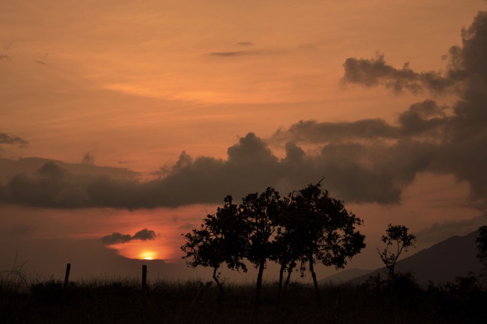 Фотография автора Yako Laverde
