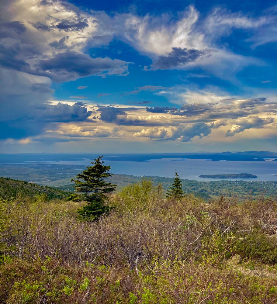 Photograph by Gargee Chowdhury