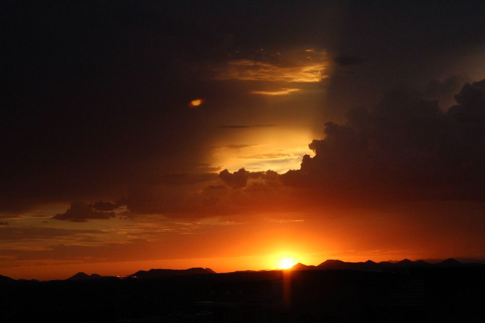 Photograph by Dan Stone