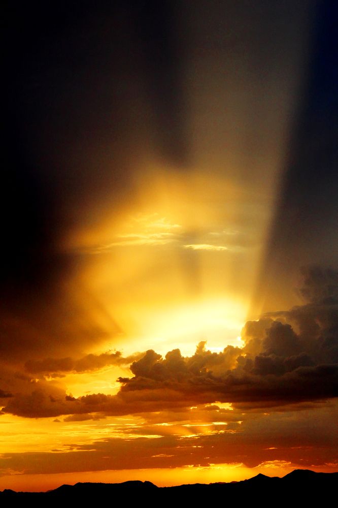 Photograph by Dan Stone