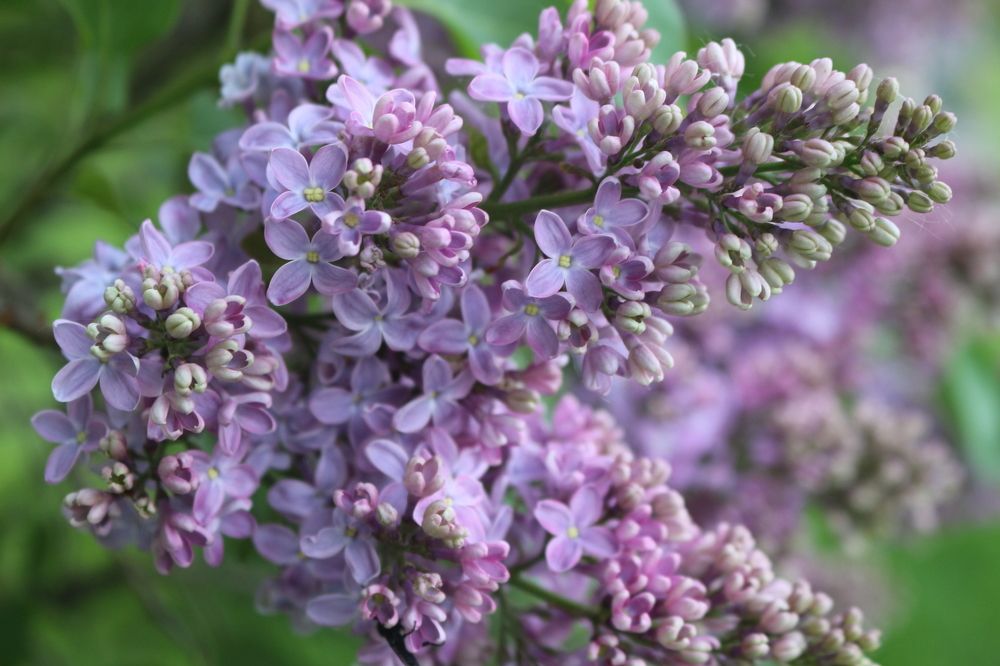 Photograph by Игорь Соколов