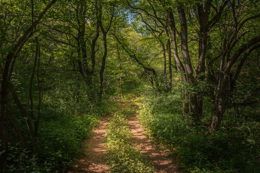 Photograph by Helen Vasilieva