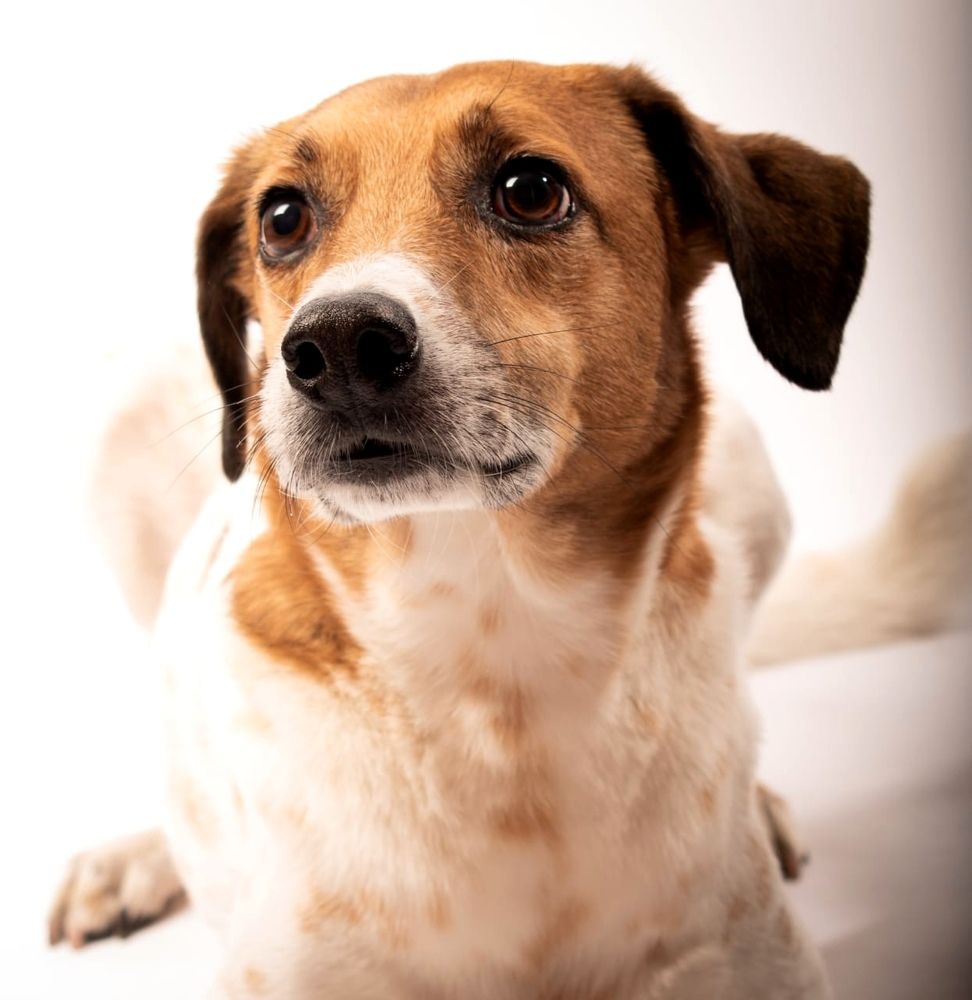 Фотография автора Claudia Luna