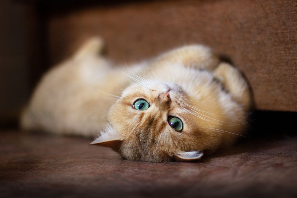 Photograph by Любовь Конева