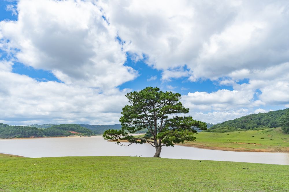 Photograph by Hoai Anh Dang