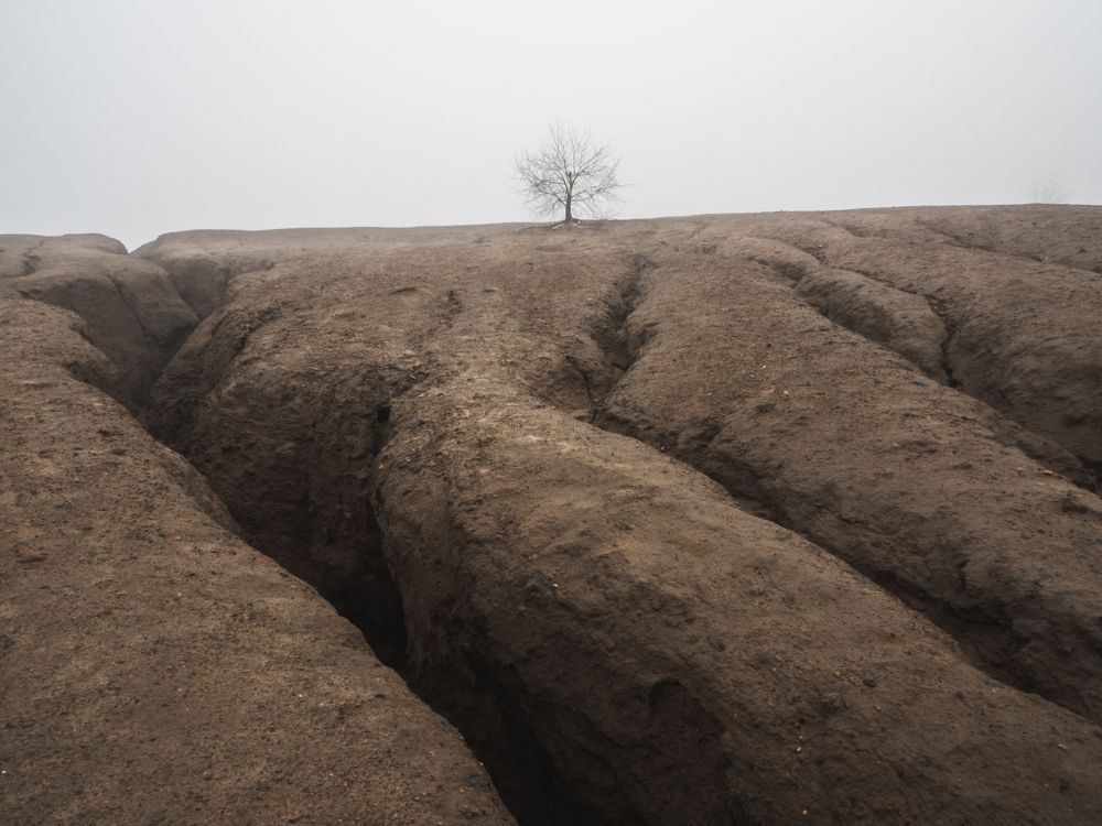 Photograph by Александр Устинов