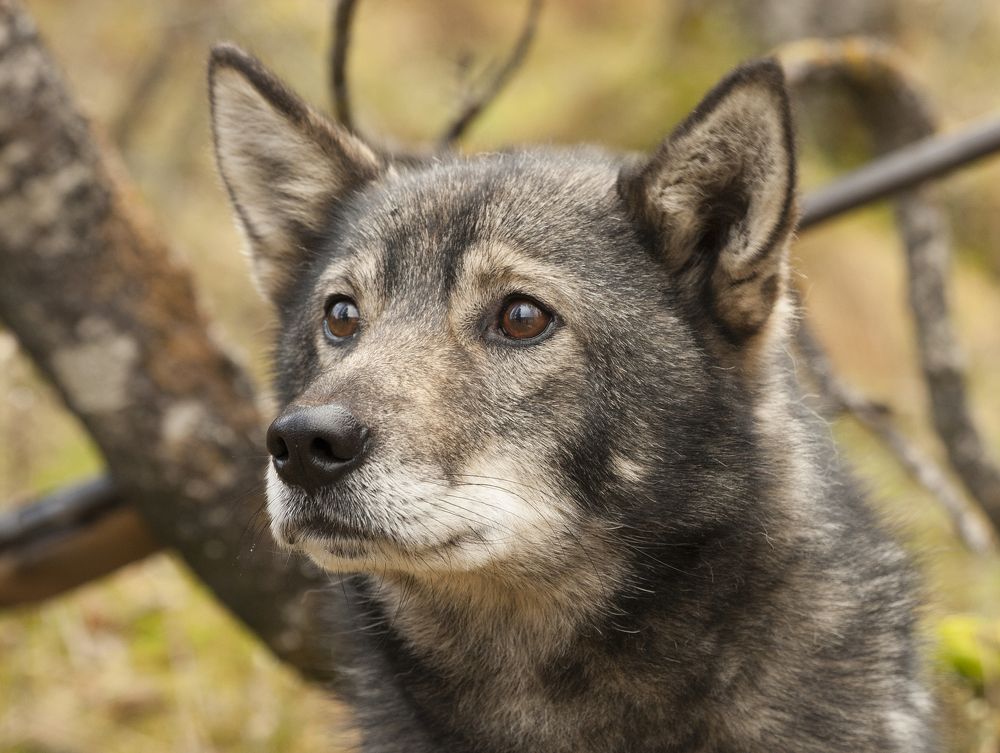 Photograph by Юрий Чернов