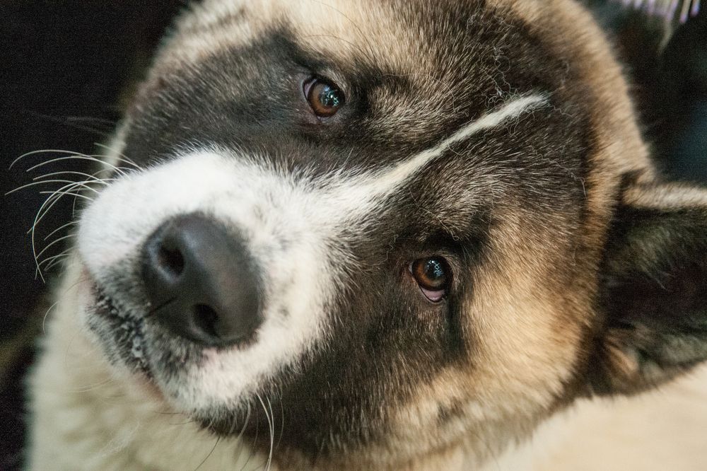 Photograph by Юрий Чернов