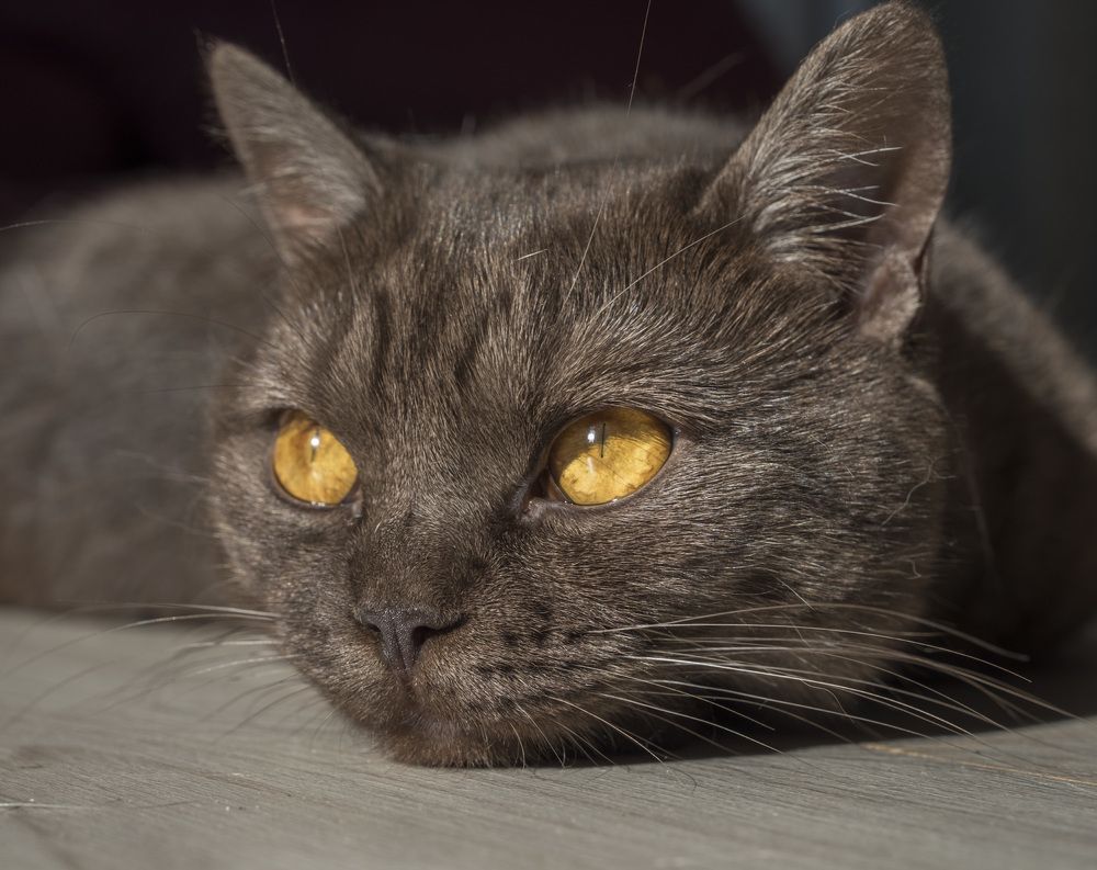 Photograph by Юрий Чернов