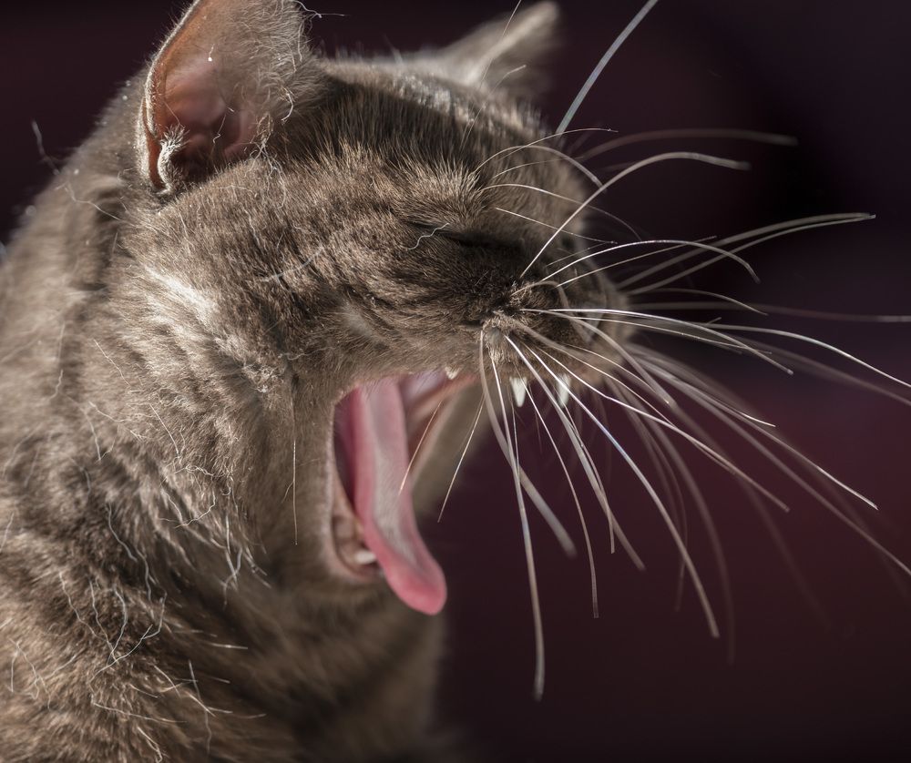 Photograph by Юрий Чернов