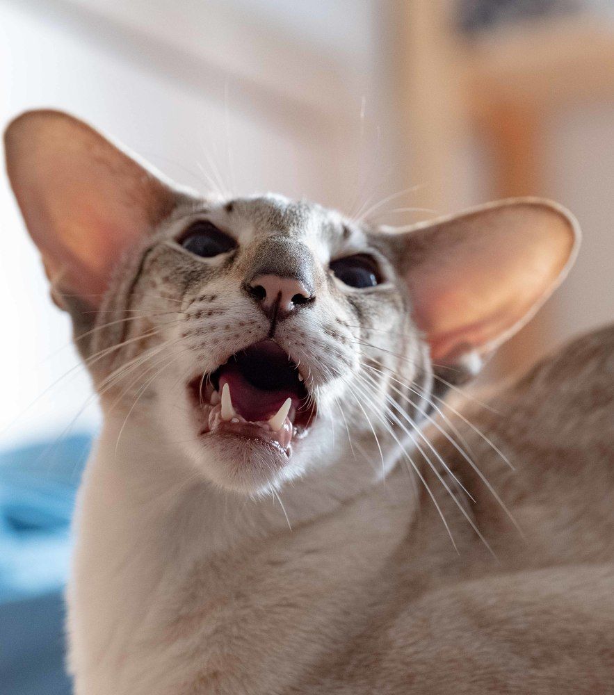 Photograph by Юрий Чернов