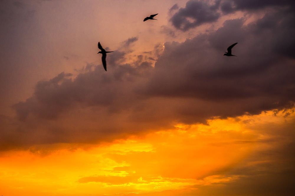 Фотография автора Екатерина Першина