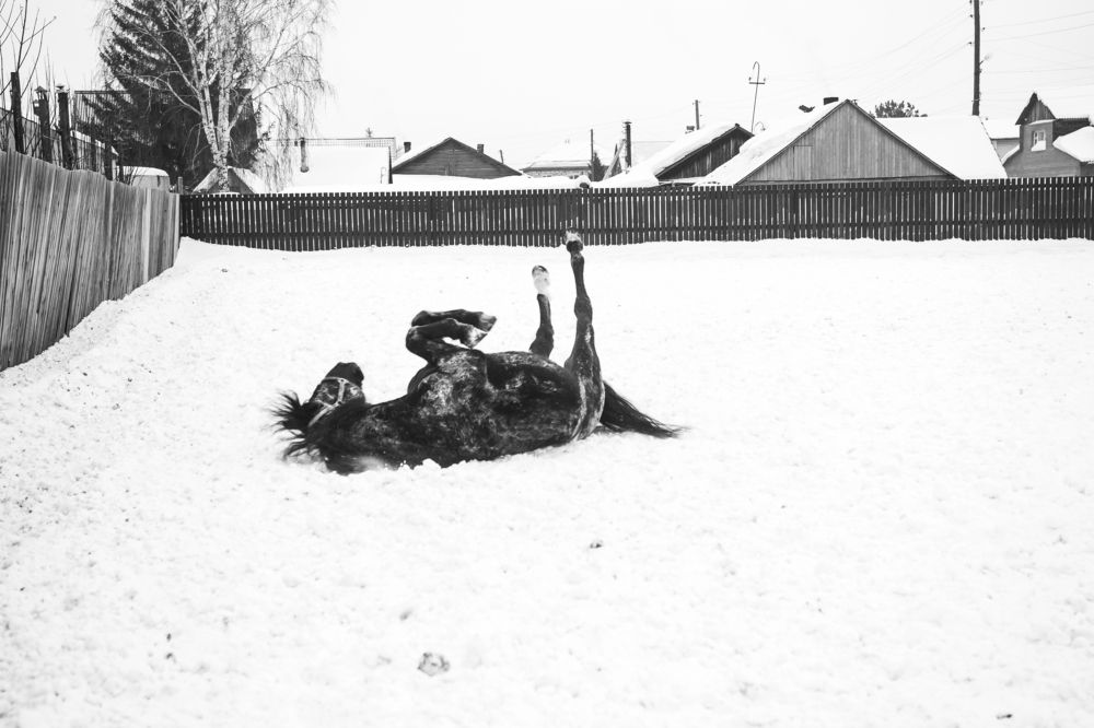 Фотография автора Екатерина Першина