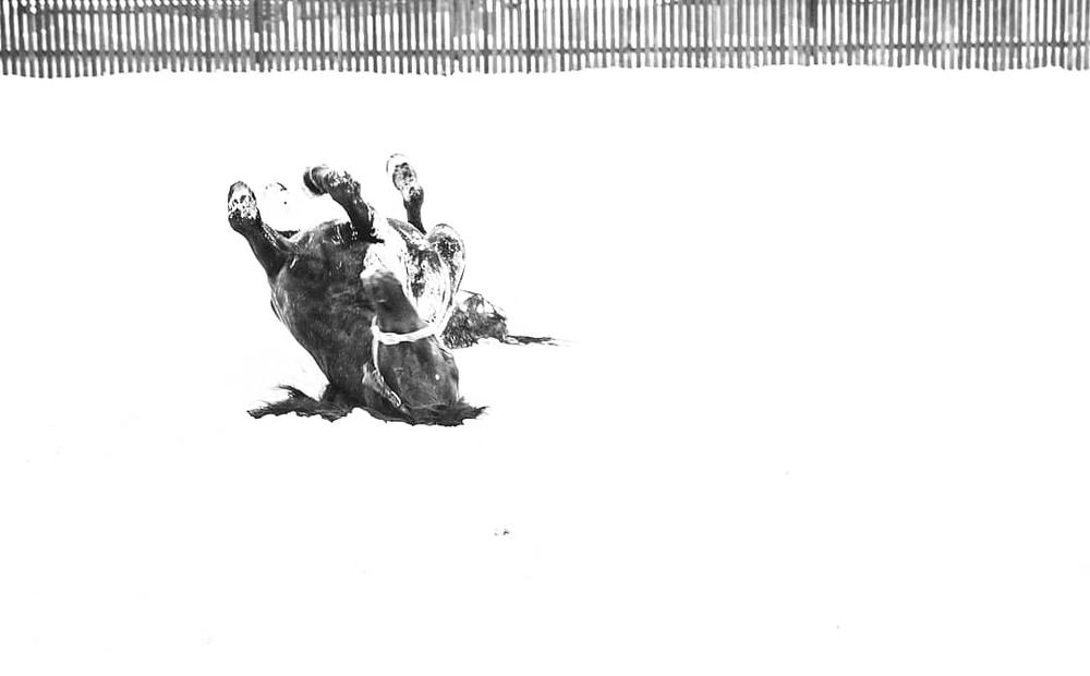 Фотография автора Екатерина Першина