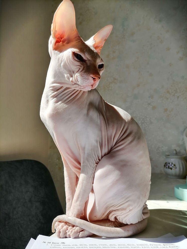 Photograph by Юлия Гагарина