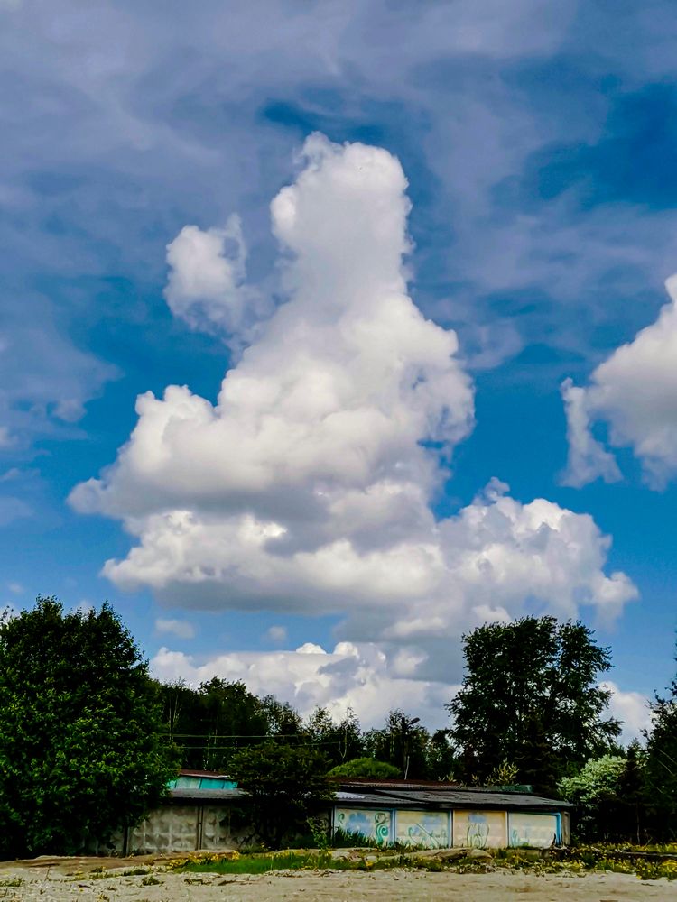 Photograph by Светлана Перминова