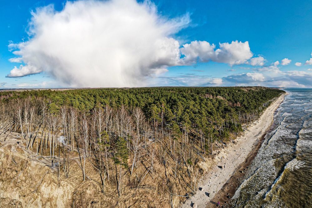 Фотография автора Viaceslavas Bazykas