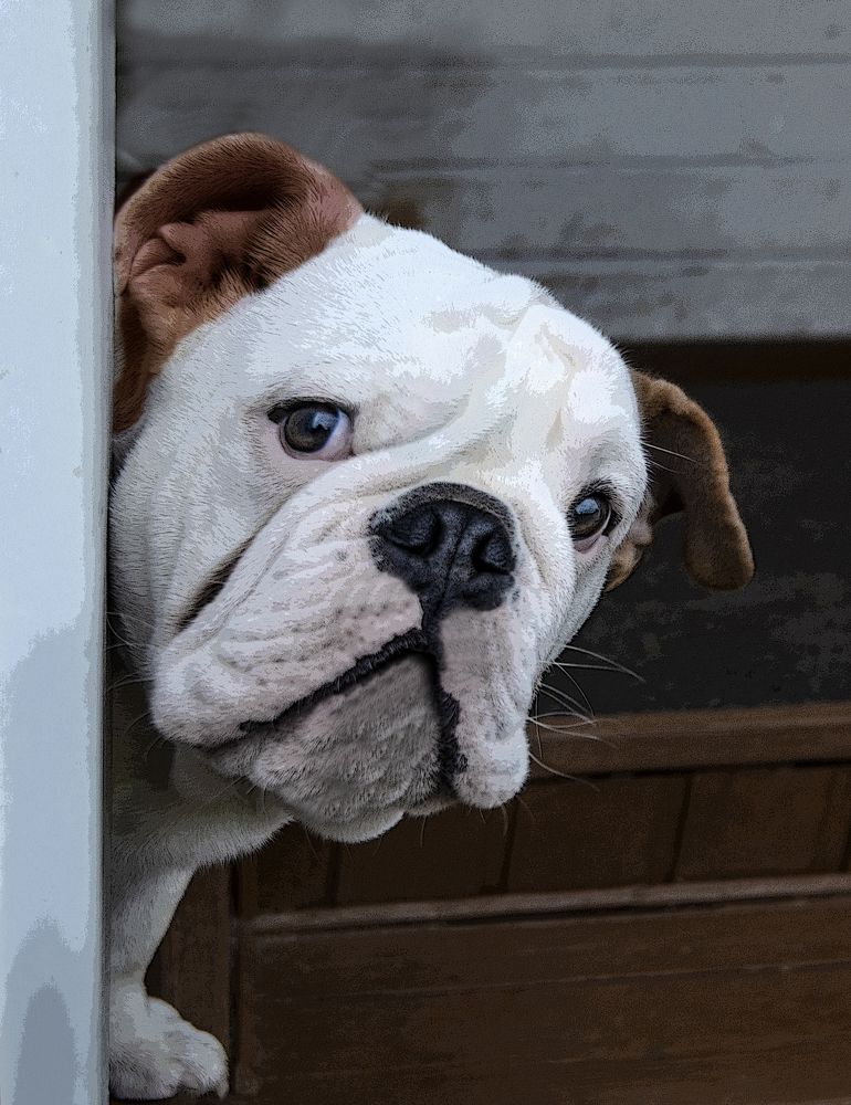 Photograph by Владимир  Асриян