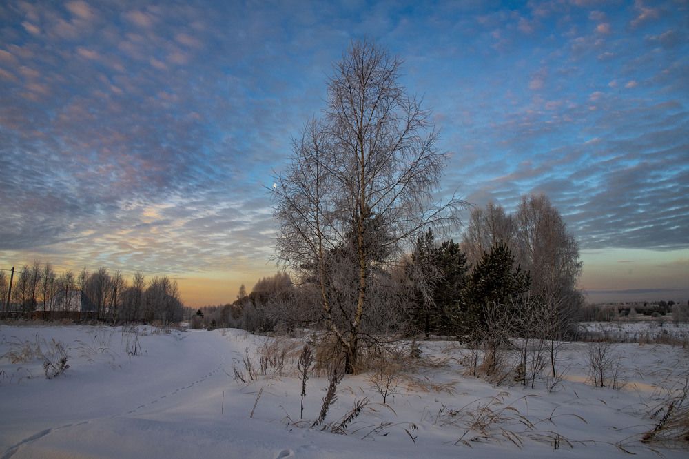 Photograph by Margarita