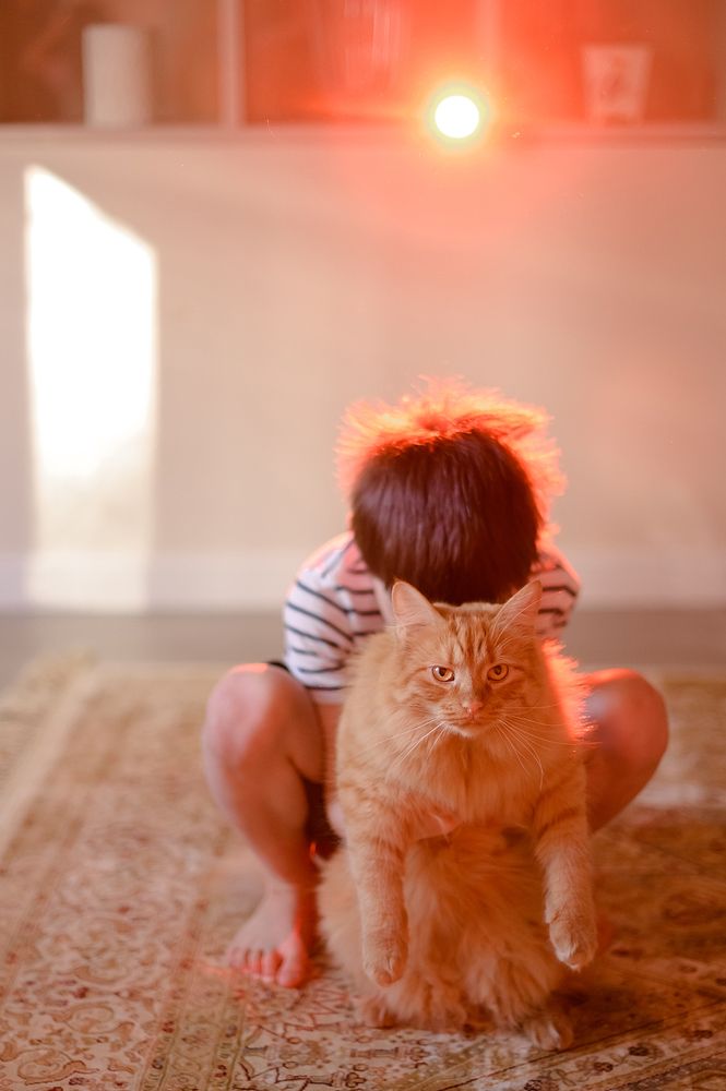 Фотография автора Яна Романова