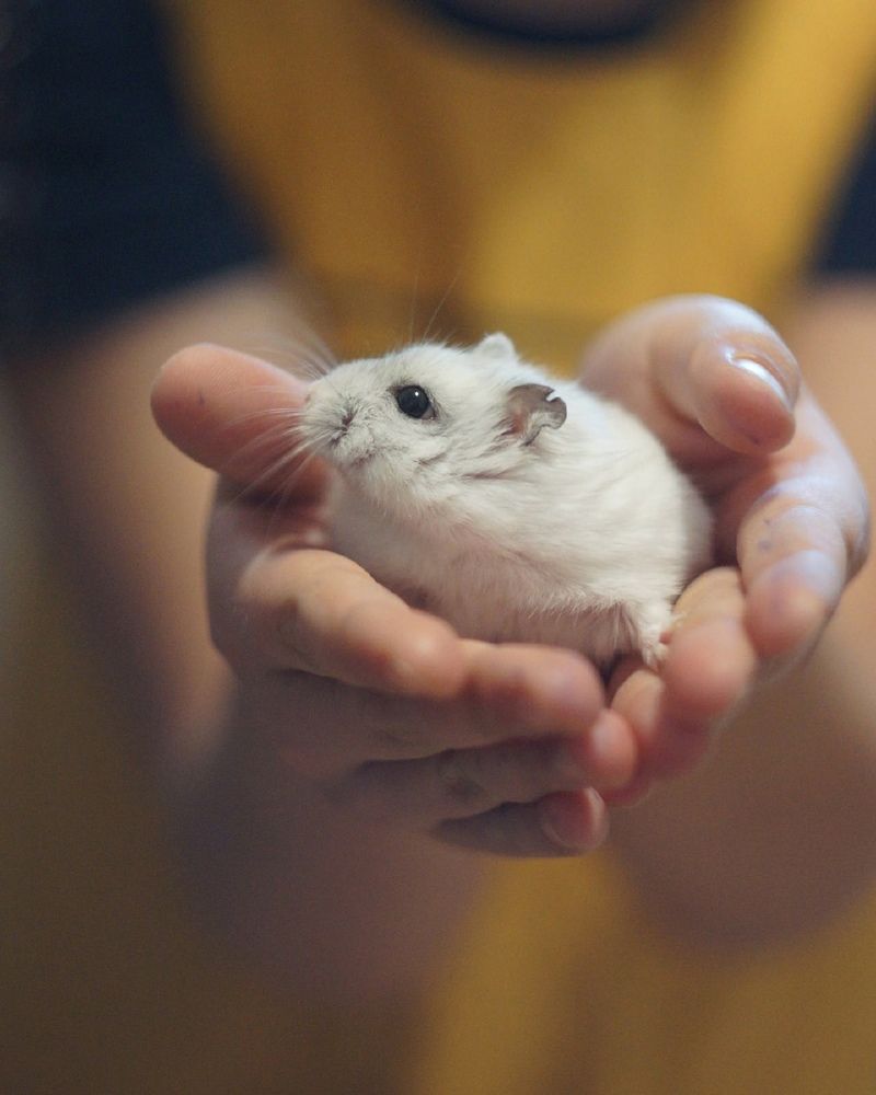 Photograph by Юлия Панкратова