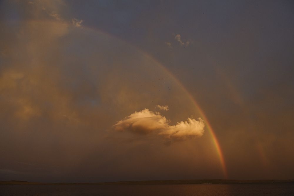 Photograph by Юлия Гридина