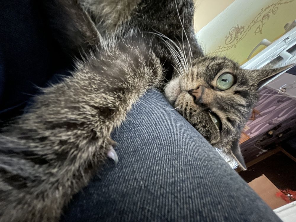 Photograph by Stanislav Strisovsky