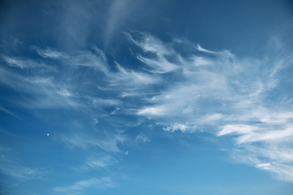 Photograph by Юлия Гридина