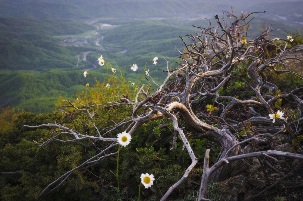 Photograph by Антон Литвин