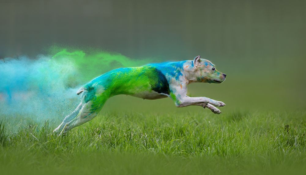 Photograph by Аня Егоренкова