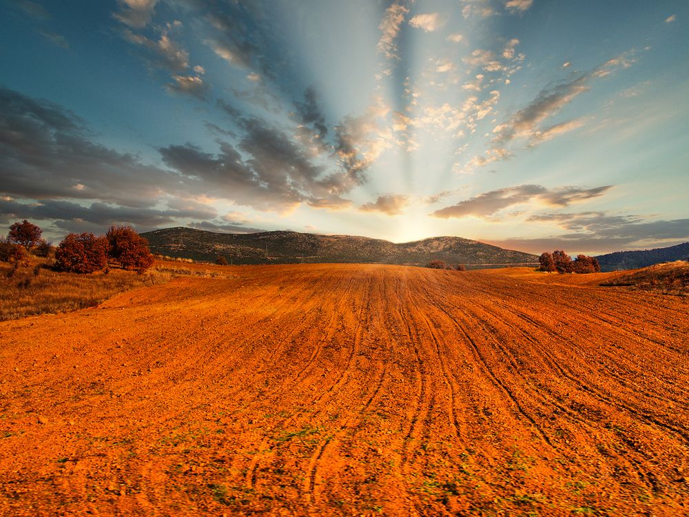 Photograph by Georgios Pallas