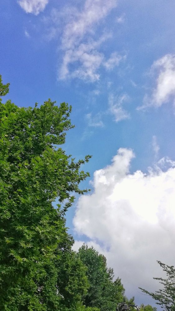 Photograph by yousef z shima