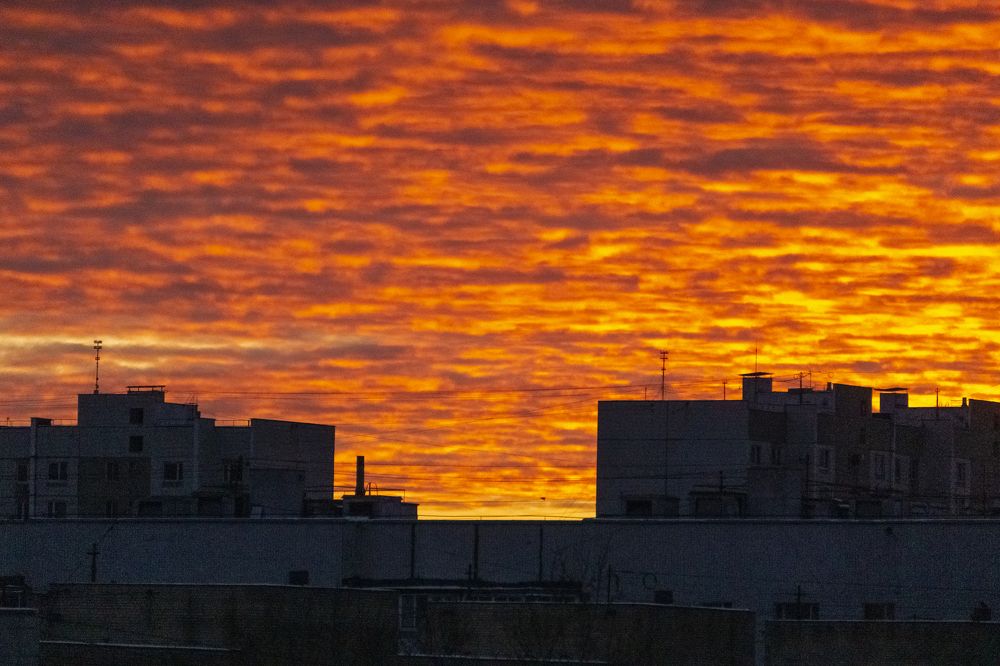 Photograph by Anya Ignatovich