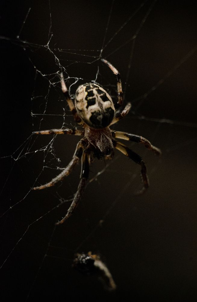 Photograph by Boris Malyshev