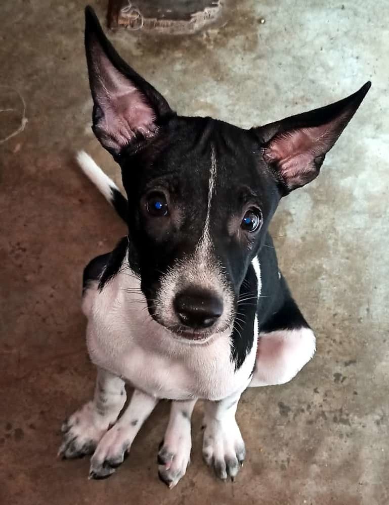 Photograph by Madhumanti Chatterjee