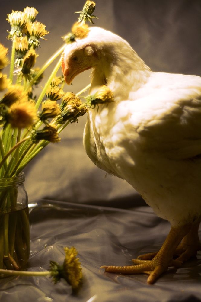 Photograph by Ольга Истомина