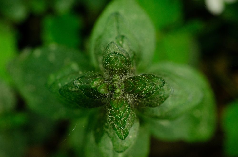 Photograph by Boris Malyshev