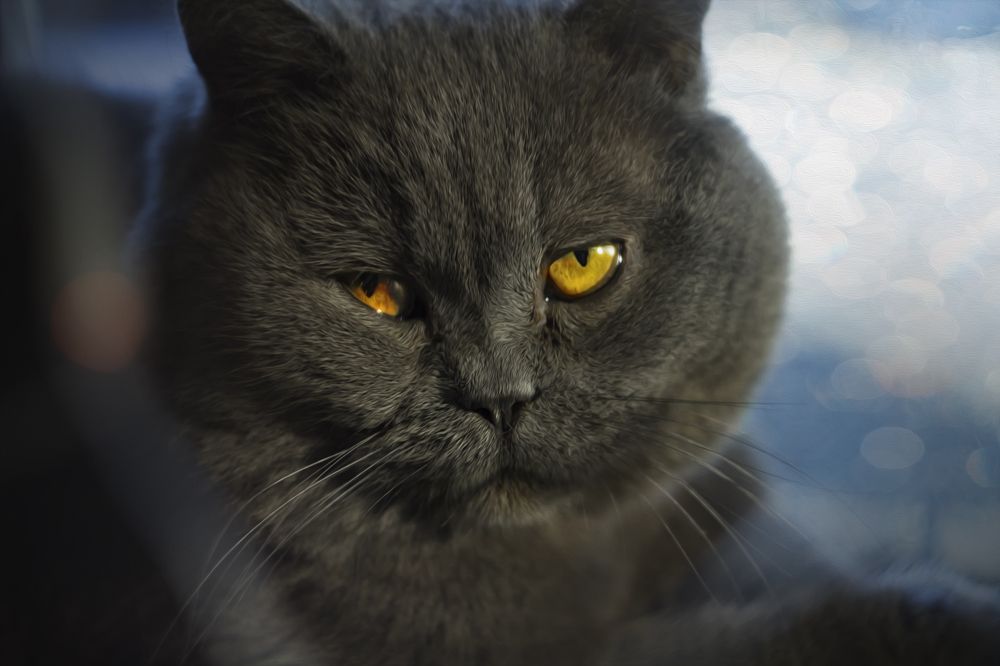 Photograph by Лионелла Зимина