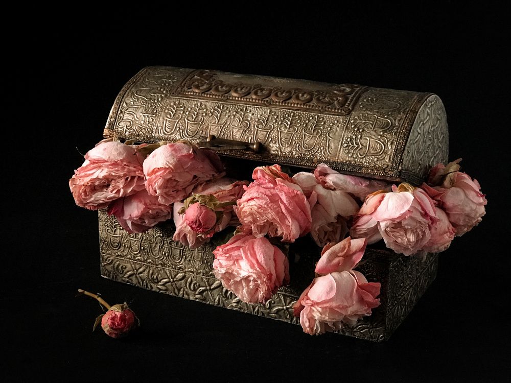 Photograph by Наталья Перерва